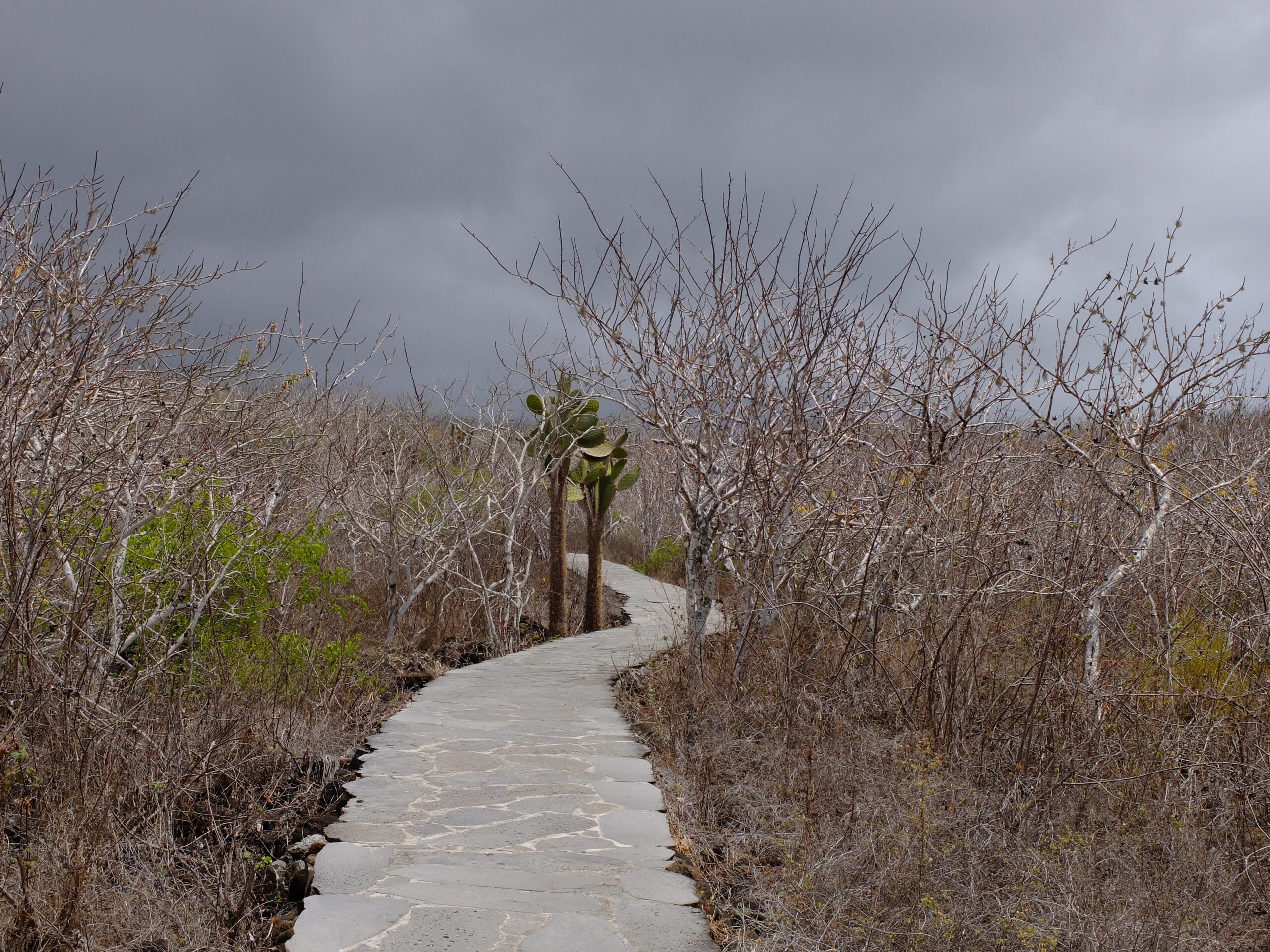 Retrouve l’harmonie grâce à l’équilibre cranio-sacré
